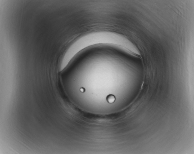X0000113290360200910051105