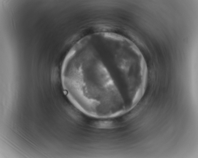 X0000113290361200910051105