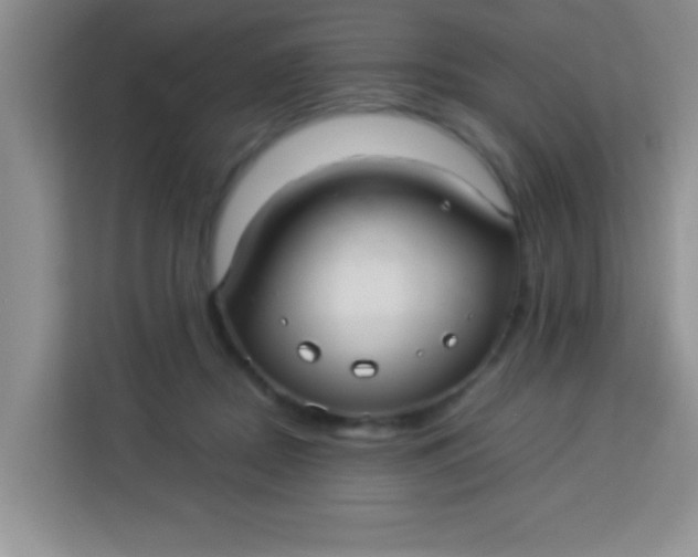 X0000113290362200910051105