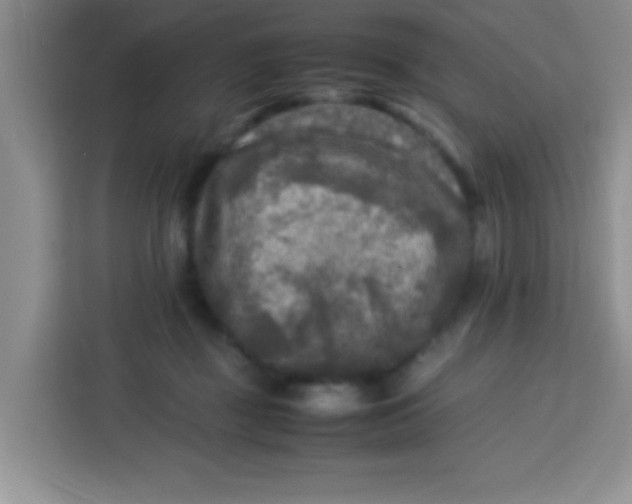 X0000113290363200910051105