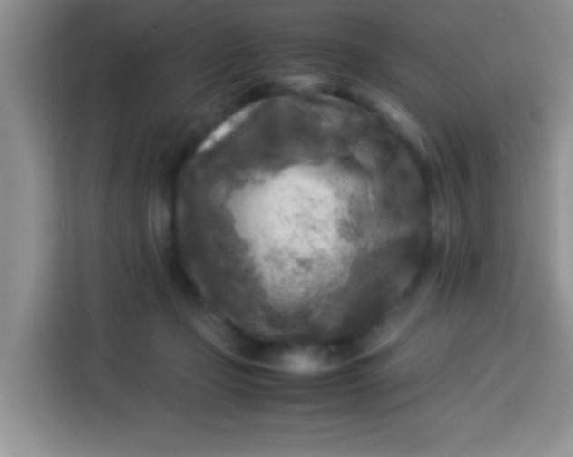 X0000113290365200910051105