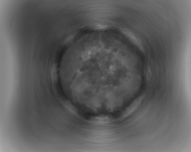 X0000113290366200910051105
