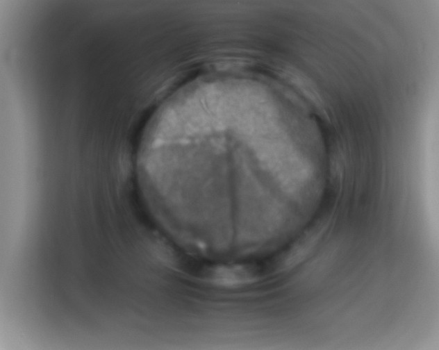 X0000113290367200910051105