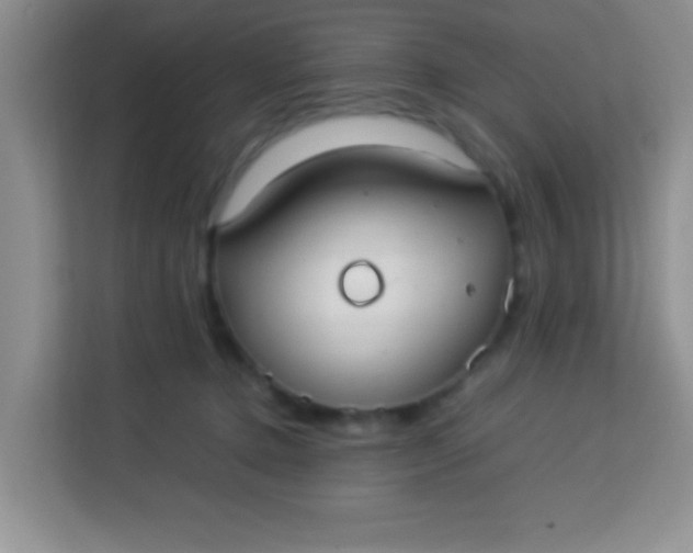 X0000113290368200910051105