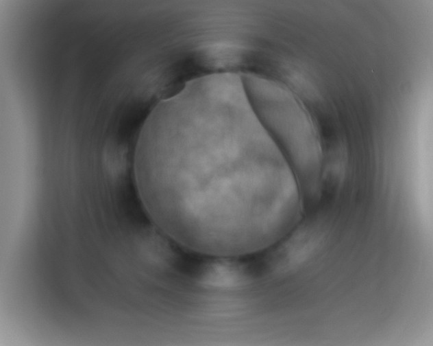X0000113290372200910051105