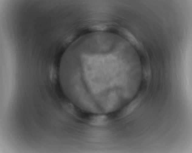 X0000113290374200910051105