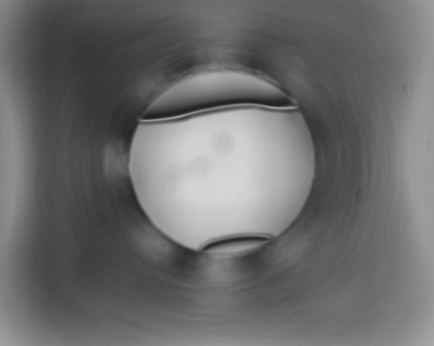 X0000113290384200910051106