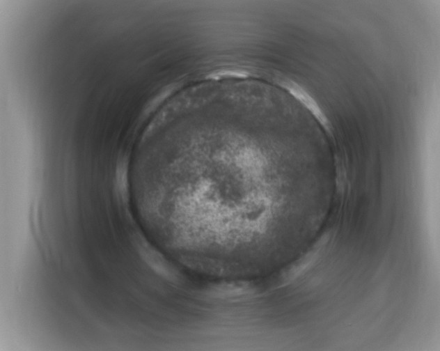 X0000113290386200910051105