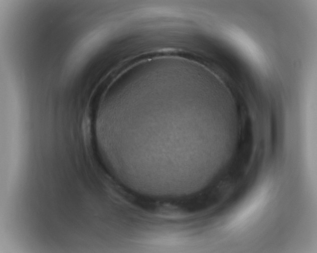 X0000113290387200910051105
