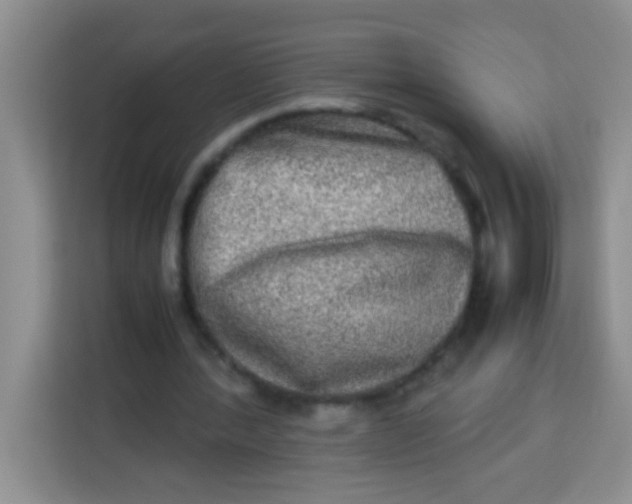 X0000113290388200910051105