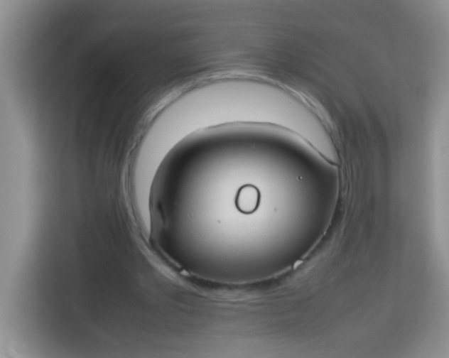 X0000113290389200910051105