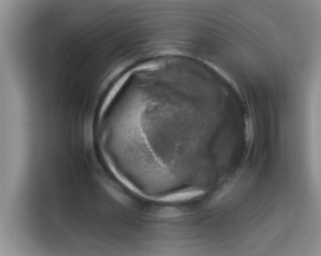 X0000113290390200910051105