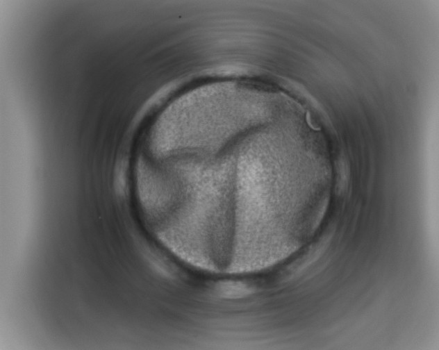 X0000113290392200910051105