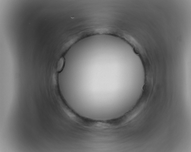 X0000113290393200910051105
