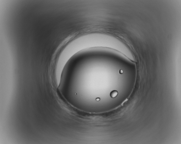 X0000113290395200910051105