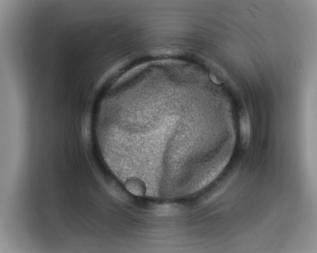 X0000113290396200910051105