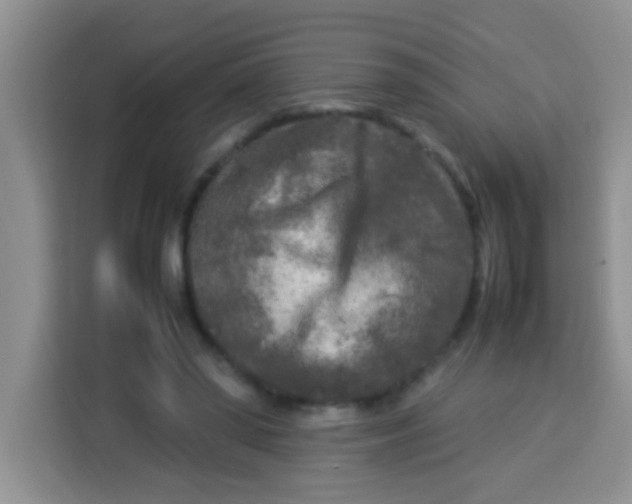 X0000113290398200910051105