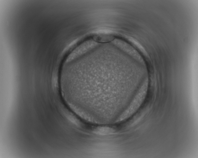 X0000113290399200910051105