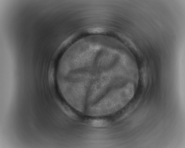 X0000113290400200910051105