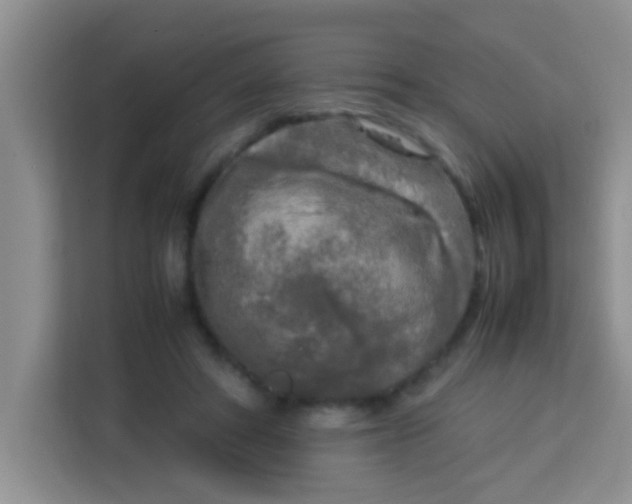 X0000113290402200910051105