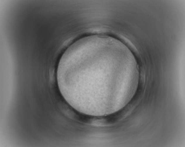 X0000113290403200910051105