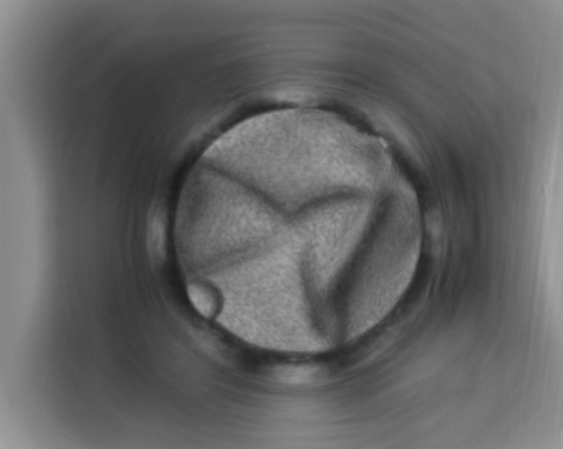 X0000113290404200910051105