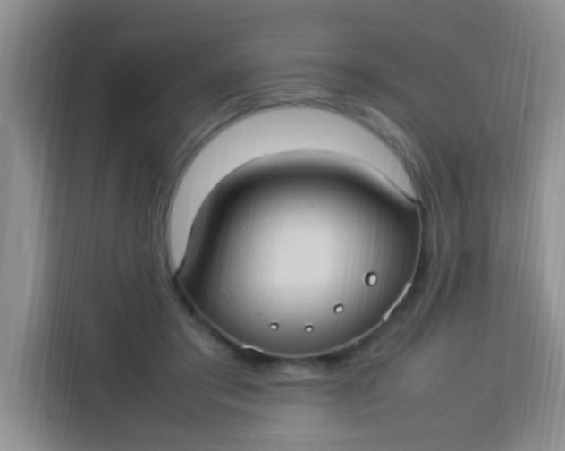 X0000113290405200910051105
