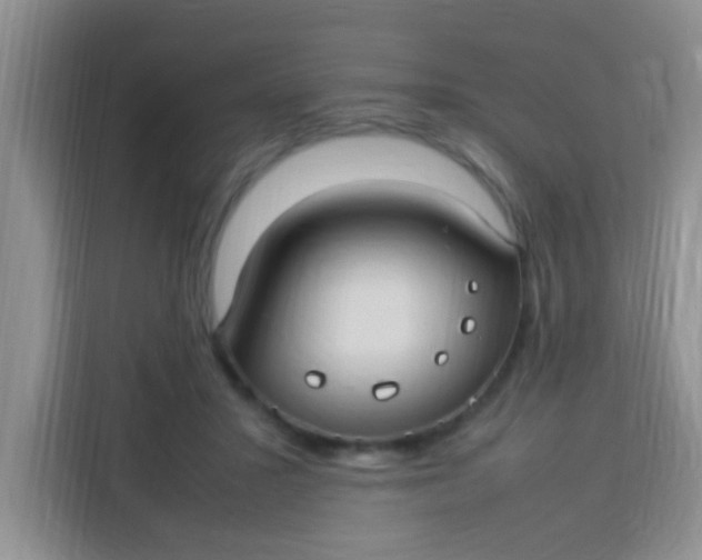 X0000113290407200910051105