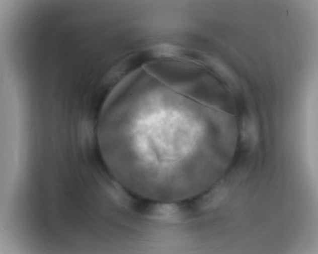 X0000113290409200910051105