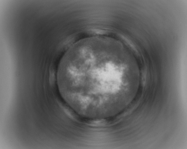 X0000113290410200910051105