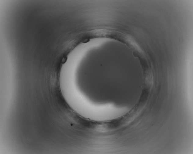 X0000113290411200910051105
