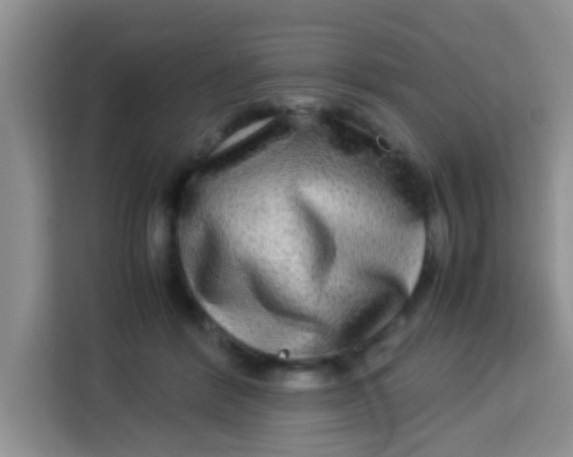 X0000113290412200910051105