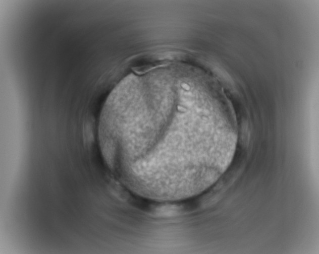 X0000113290413200910051105