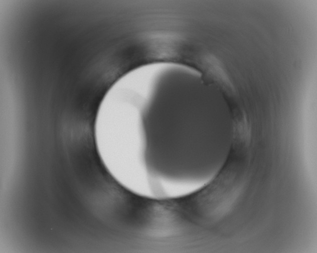 X0000113290415200910051104