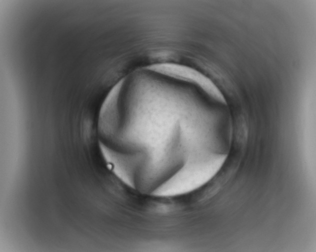 X0000113290420200910051104