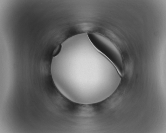 X0000113290421200910051104