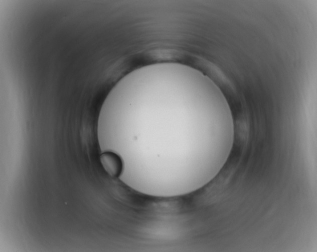 X0000113290422200910051104