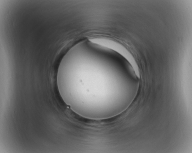 X0000113290423200910051104