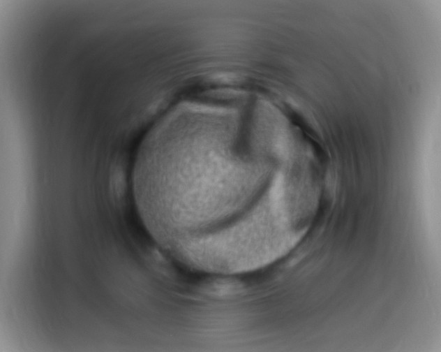 X0000113290424200910051104