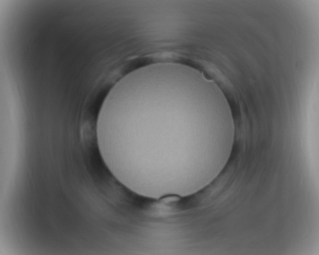X0000113290425200910051104