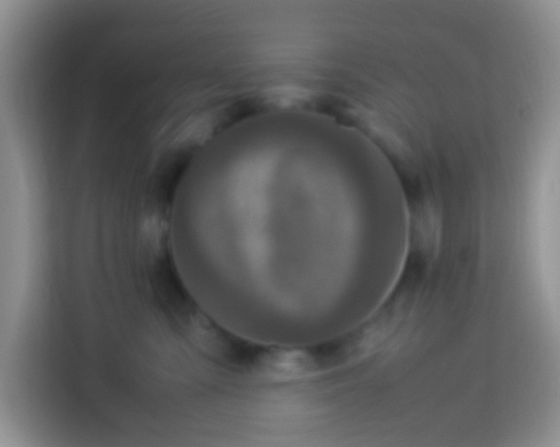X0000113290427200910051104