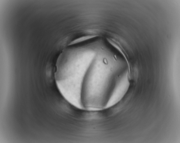 X0000113290428200910051104