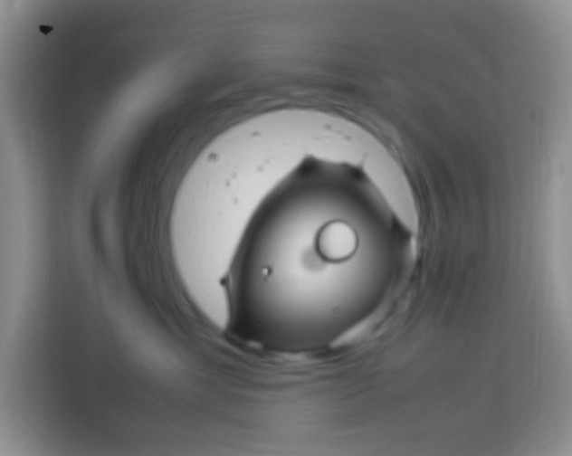 X0000113290429200910051104