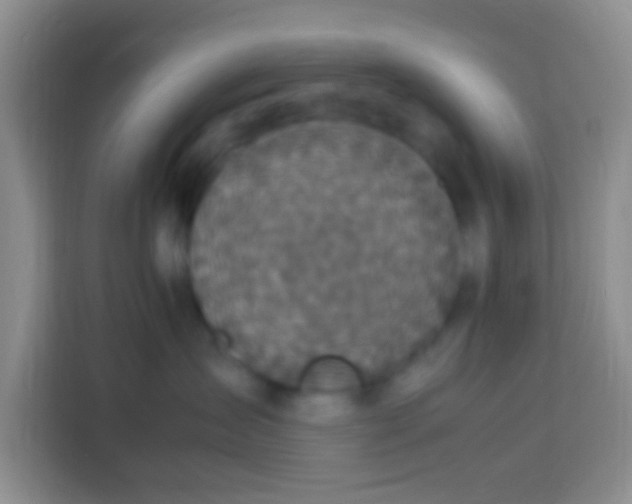 X0000113290431200910051104