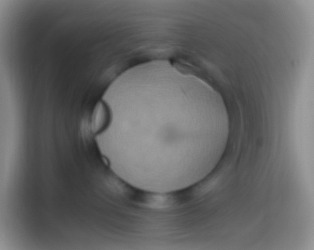 X0000113290432200910051104