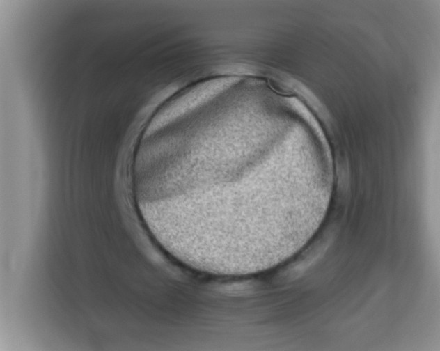 X0000113290433200910051104