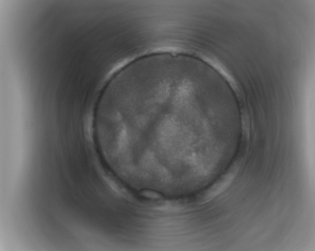 X0000113290434200910051104