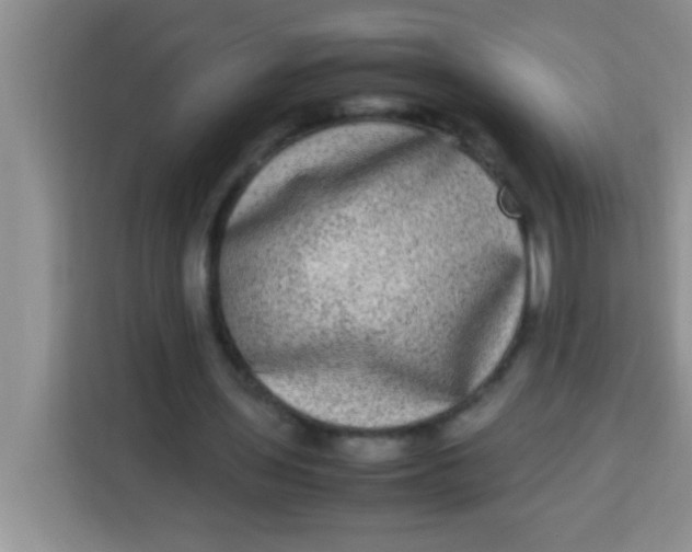 X0000113290435200910051104