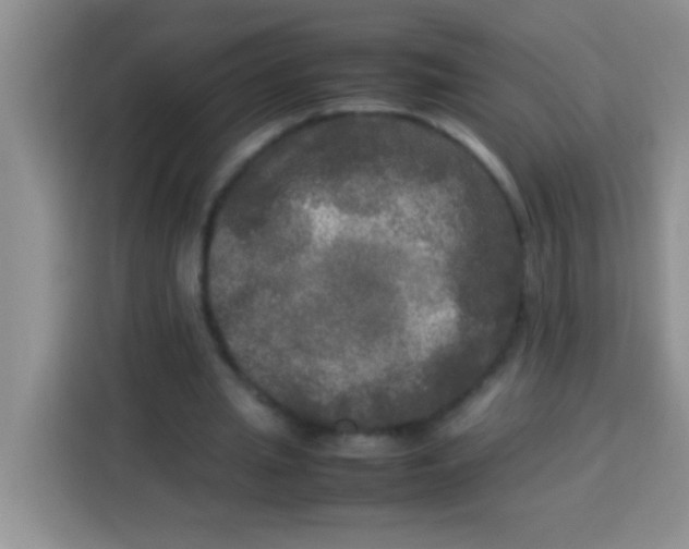 X0000113290437200910051104