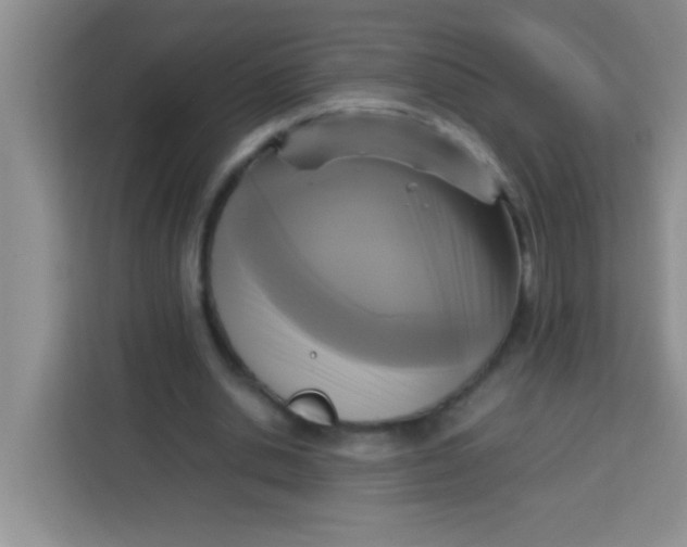 X0000113290438200910051104